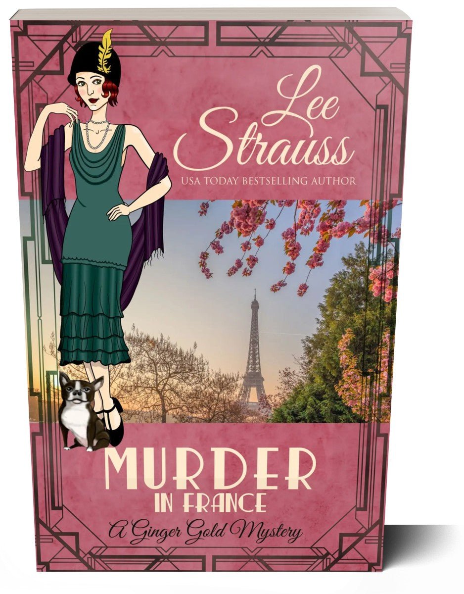 Murder in France paperback – 1920s